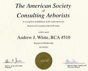 Asca Tree What is Arboricultural Consulting? | LandArbor Consulting, LLC