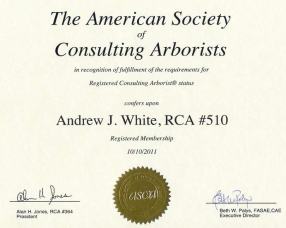 ASCA RCA Cert