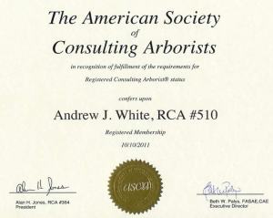 ASCA RCA Cert